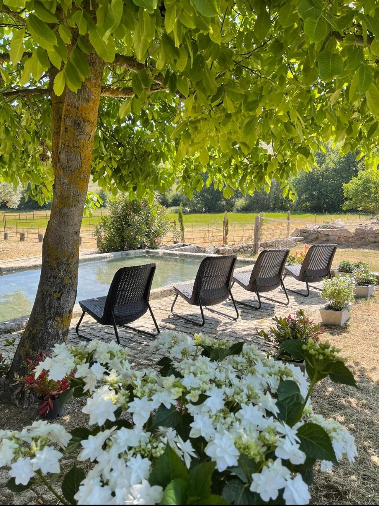 Вилла Quinta Vale Da Prata Селорику-да-Бейра Экстерьер фото
