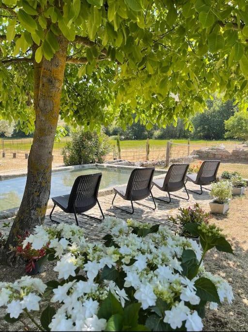 Вилла Quinta Vale Da Prata Селорику-да-Бейра Экстерьер фото