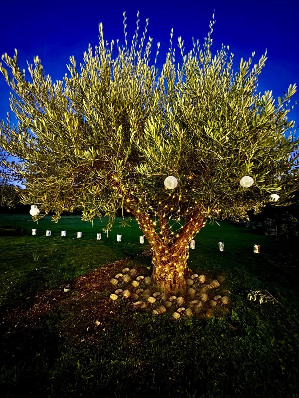 Вилла Quinta Vale Da Prata Селорику-да-Бейра Экстерьер фото