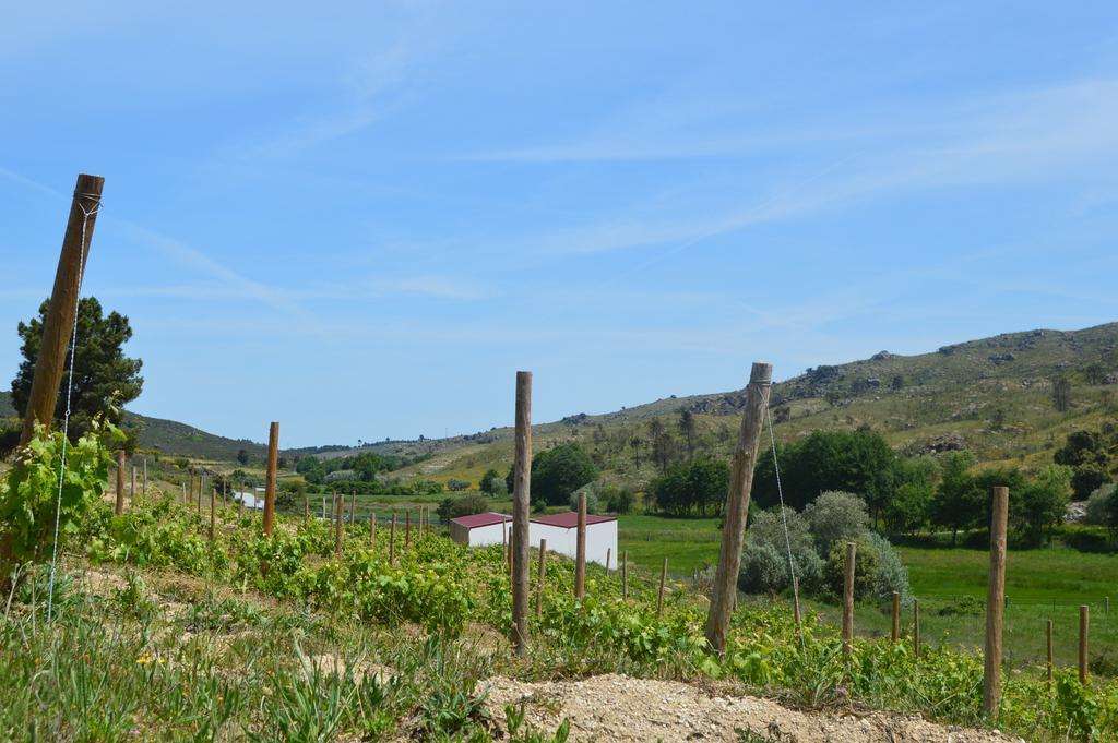 Вилла Quinta Vale Da Prata Селорику-да-Бейра Экстерьер фото