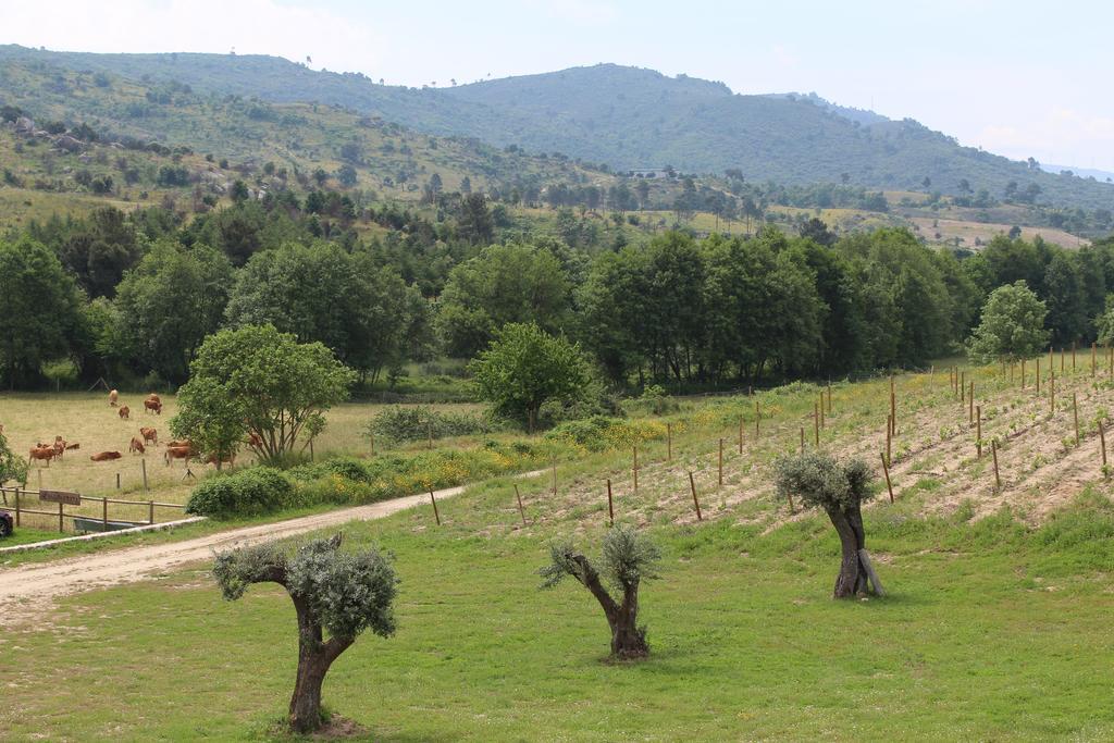 Вилла Quinta Vale Da Prata Селорику-да-Бейра Экстерьер фото